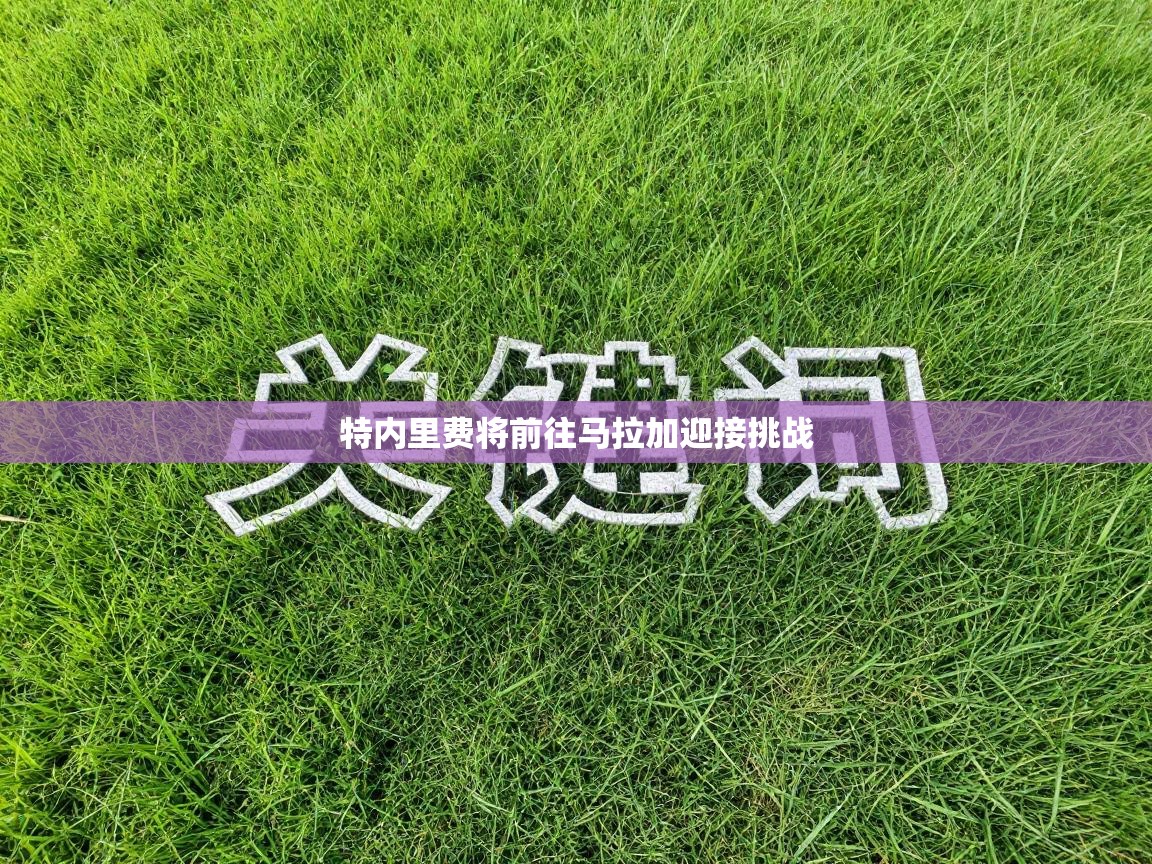 问鼎娱乐app-特内里费将前往马拉加迎接挑战  第1张